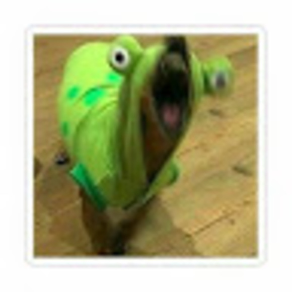 Meet your Posher, Tsuki - Picture 1 of 1